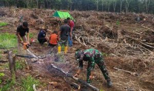 Anggota Satgas TMMD Wiltas Ke-127 Kodim 0912/Kubar Gotong Royong Bantu Warga Cari Kayu Bakar Untuk Syukuran