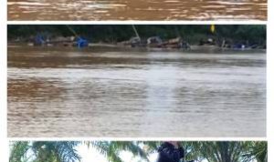 Aktivitas PETI di Wilayah Hukum Polsek Cerenti Kembali Marak, Masyarakat Keluhkan Dampak Lingkungan dan Dugaan Pembiaran