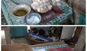 Inisial Jones, Sarbiana, dan David Diduga Terlibat Jaringan PETI Terorganisir di Inhu, Satu Lokasi Penampungan Disebut Hasilkan 0,5 Kg Emas per Hari