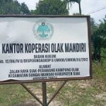 Dugaan Pelanggaran Ketenagakerjaan dan Kekerasan di Kebun Sawit Kampung Olak, Proses Cek TKP Dipertanyakan, Intimidasi Diduga Terjadi