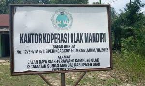 Dugaan Pelanggaran Ketenagakerjaan dan Kekerasan di Kebun Sawit Kampung Olak, Proses Cek TKP Dipertanyakan, Intimidasi Diduga Terjadi