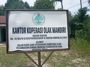 Dugaan Pelanggaran Ketenagakerjaan dan Kekerasan di Kebun Sawit Kampung Olak, Proses Cek TKP Dipertanyakan, Intimidasi Diduga Terjadi