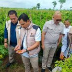 Pantau Pasar dan Petani di Jatim, Satgas Saber Pelanggaran Pangan Pusat: Mayoritas Harga Komoditas Stabil