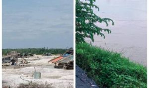 Setoran PETI Mengalir Ratusan Juta per Minggu, Koordinator di Peranap Akui Kelola Dana