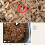 Potret Buram MBG di Kampar: Nasi Goreng Berbelatung ‘Dihidangkan’ ke Siswa SDN 016 Kusau Makmur