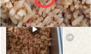 Potret Buram MBG di Kampar: Nasi Goreng Berbelatung ‘Dihidangkan’ ke Siswa SDN 016 Kusau Makmur