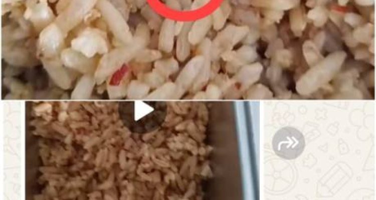 Potret Buram MBG di Kampar: Nasi Goreng Berbelatung ‘Dihidangkan’ ke Siswa SDN 016 Kusau Makmur