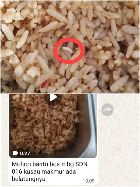 Potret Buram MBG di Kampar: Nasi Goreng Berbelatung ‘Dihidangkan’ ke Siswa SDN 016 Kusau Makmur