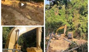 Diduga PETI Beroperasi di Hutan Lindung Bukit Betabuh, Tiga Alat Berat Disebut Bebas Bekerja