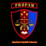 Apresiasi Setinggi-tingginya Untuk Divisi Propam Polri Atas Penanganan Yanduan Masyarakat Secara Professional