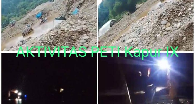Aktivitas Pertambangan Emas Tanpa Izin (PETI) Beroperasi Puluhan Unit Alat Berat Excavator di Kawasan Hutan Lindung