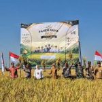 Panen Raya PADI 2026 DI DEMAK Perkuat Kemitraan Petani DAN Dunia Usaha Dalam Mendukung Ketahanan Pangan Nasional