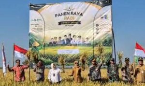 IMG-20260611-WA0179_1781178227041 Panen Raya PADI 2026 DI DEMAK Perkuat Kemitraan Petani DAN Dunia Usaha Dalam Mendukung Ketahanan Pangan Nasional