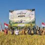 Panen Raya PADI 2026 DI DEMAK Perkuat Kemitraan Petani DAN Dunia Usaha Dalam Mendukung Ketahanan Pangan Nasional