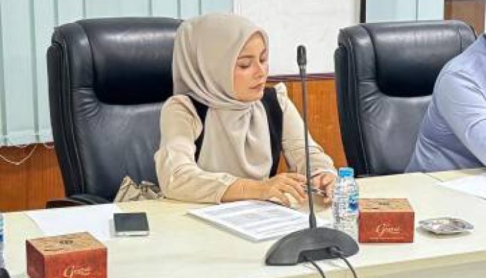 Desi Guswita Soroti Fasilitasi Kerja DPRD Kuansing: Apakah Karena Saya Kritis?