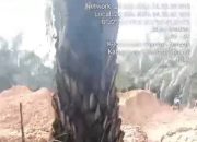 PETI Kembali Menggeliat di Koto Kari, Alat Berat Diduga Ikut Buka Lahan Tambang