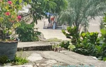 Aktivitas PETI di Muaro Sentajo: Sejumlah Dompeng dan Stingkai Beroperasi Saat Tim Wartawan Turun Lapangan