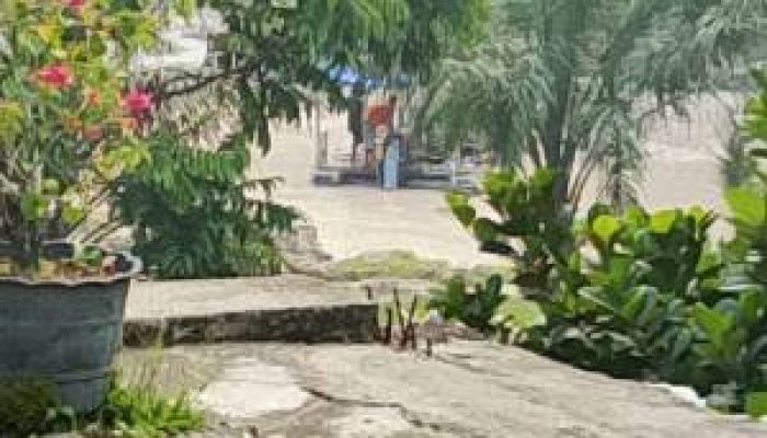 Aktivitas PETI di Muaro Sentajo: Sejumlah Dompeng dan Stingkai Beroperasi Saat Tim Wartawan Turun Lapangan