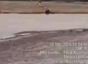 PETI di Muara Lembu Kembali Terpantau, ATHIA Sudah Konfirmasi, Hingga Kini Kanit Tipidter Belum Menjawab