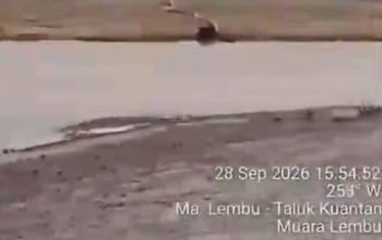 PETI di Muara Lembu Kembali Terpantau, ATHIA Sudah Konfirmasi, Hingga Kini Kanit Tipidter Belum Menjawab