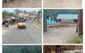 Illegal Logging di Kuantan Mudik: Sawmill yang Pernah Dipasangi Police Line Kembali Disorot