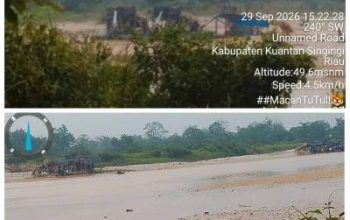 PETI Marak di Kebun Lado – Petai, Kuansing, Capai 50 Rakit Dompeng Beroperasi Terang-terangan