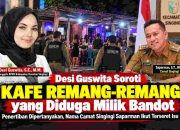 Desi Guswita Soroti Kafe Remang-remang yang Diduga Milik Bandot, Penertiban Dipertanyakan, Nana Camat Suparman Ikut Tersebut Isu