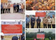 Enam PKS di Kuansing Disegel, Sejumlah Dugaan Pelanggaran Lingkungan Mencuat, Publik Minta Transparansi