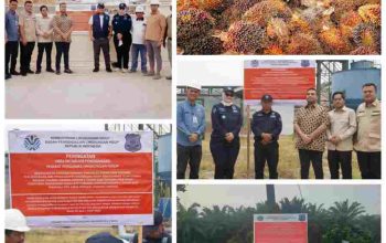 Enam PKS di Kuansing Disegel, Sejumlah Dugaan Pelanggaran Lingkungan Mencuat, Publik Minta Transparansi