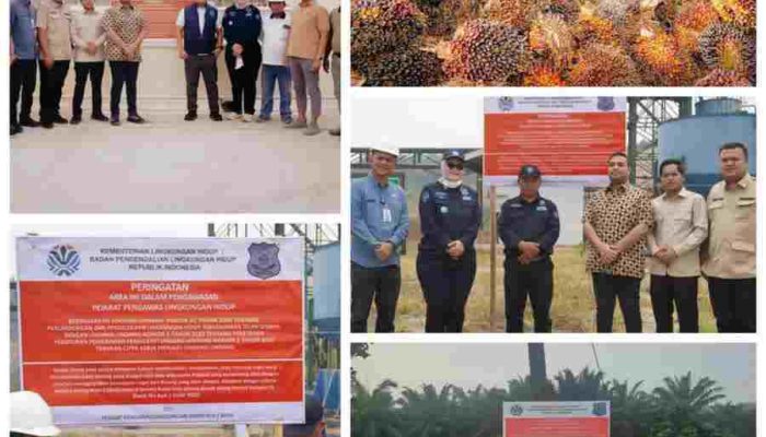 Enam PKS di Kuansing Disegel, Sejumlah Dugaan Pelanggaran Lingkungan Mencuat, Publik Minta Transparansi