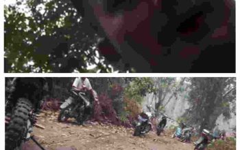 Investigasi PETI di Pulau Kopuang Berlanjut, Redaksi Minta Aktivitas yang Dilaporkan Diperiksa Menyeluruh