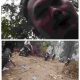Investigasi PETI di Pulau Kopuang Berlanjut, Redaksi Minta Aktivitas yang Dilaporkan Diperiksa Menyeluruh