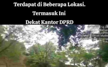PETI Kembali Beroperasi Dekat Kantor DPRD Kuansing, Ketua DPRD Respons Cepat: Harus Ditertibkan
