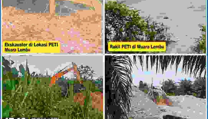 ATHIA Desak Kejelasan Penanganan PETI di Muara Lembu Singingi, Ekskavator dan Sejumlah Titik Dipertanyakan